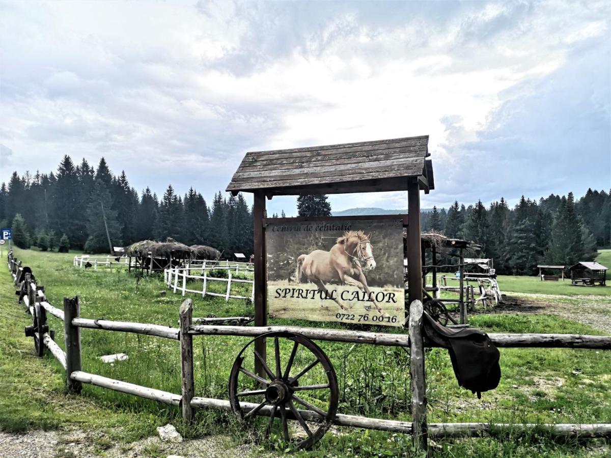 The Evergreen Nest - Silver Mountain Poiana Brașov Exterior foto