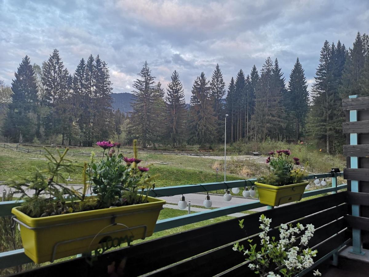 The Evergreen Nest - Silver Mountain Poiana Brașov Exterior foto