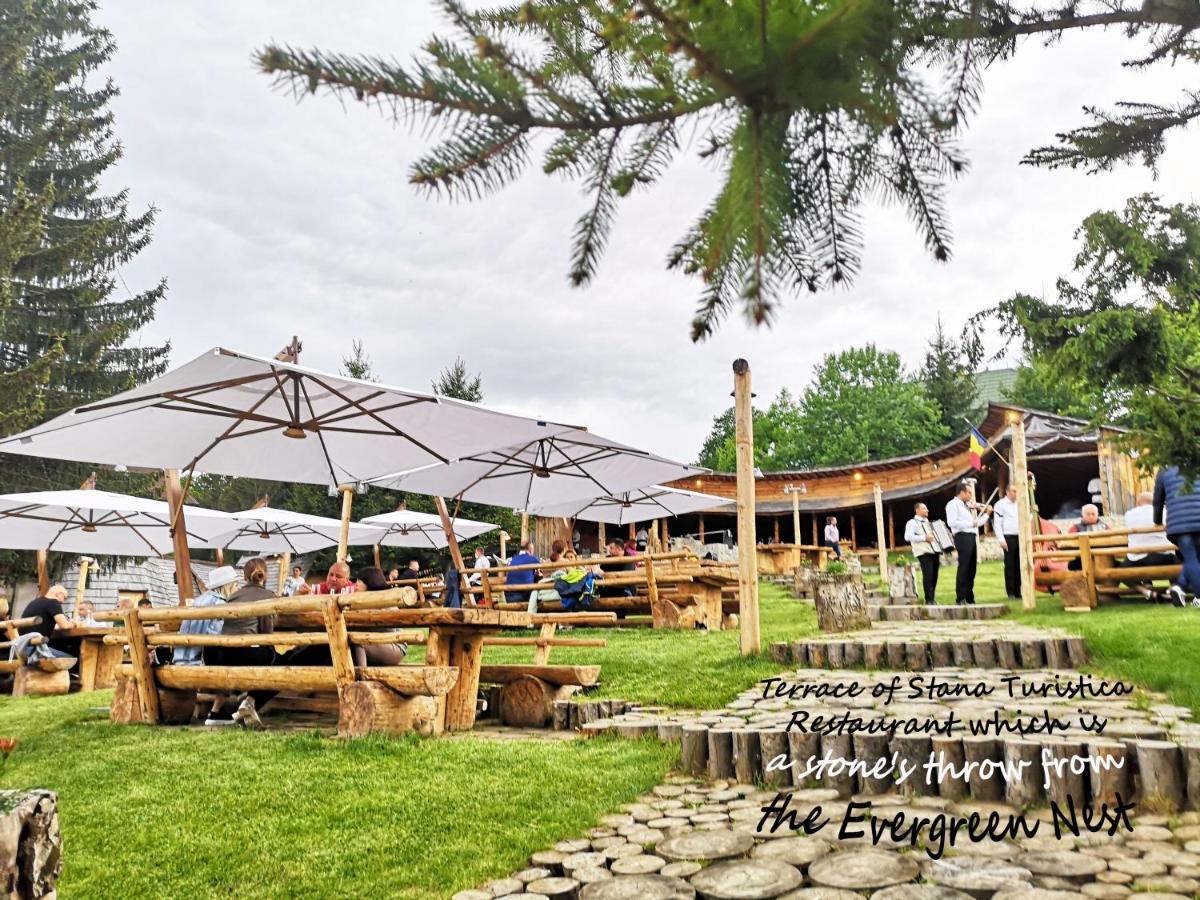 The Evergreen Nest - Silver Mountain Poiana Brașov Exterior foto