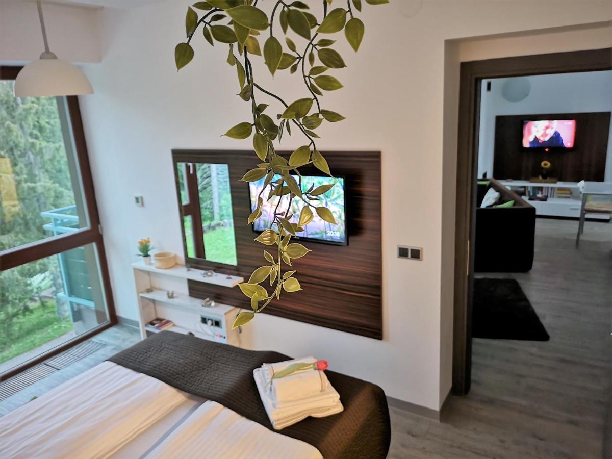 The Evergreen Nest - Silver Mountain Poiana Brașov Exterior foto