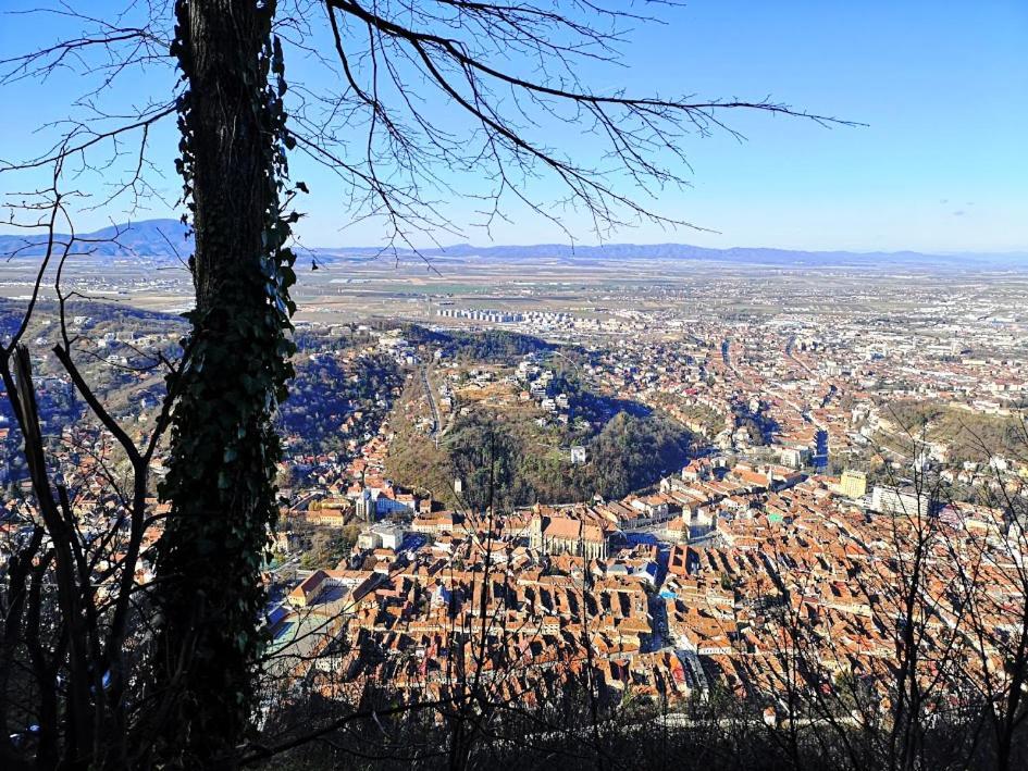 The Evergreen Nest - Silver Mountain Poiana Brașov Zimmer foto