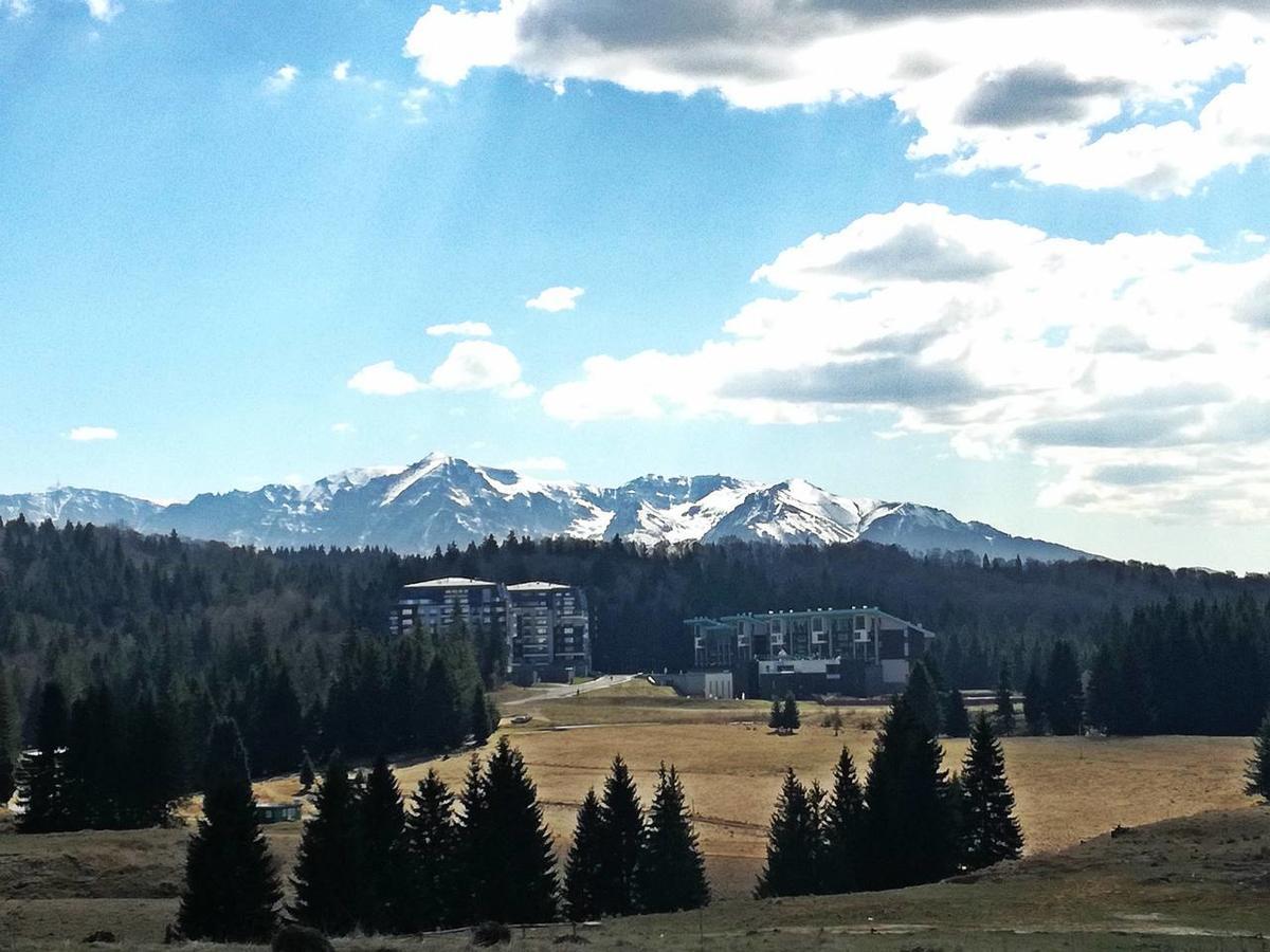 The Evergreen Nest - Silver Mountain Poiana Brașov Exterior foto